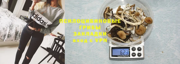 соль ск Горняк
