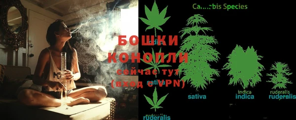 соль ск Горняк