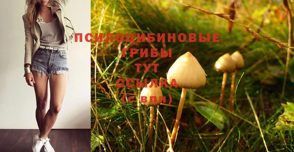 спайс Горно-Алтайск