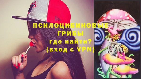 соль ск Горняк
