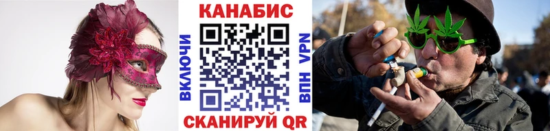 omg вход  Данилов  Шишки марихуана конопля  даркнет наркотические препараты  как найти  